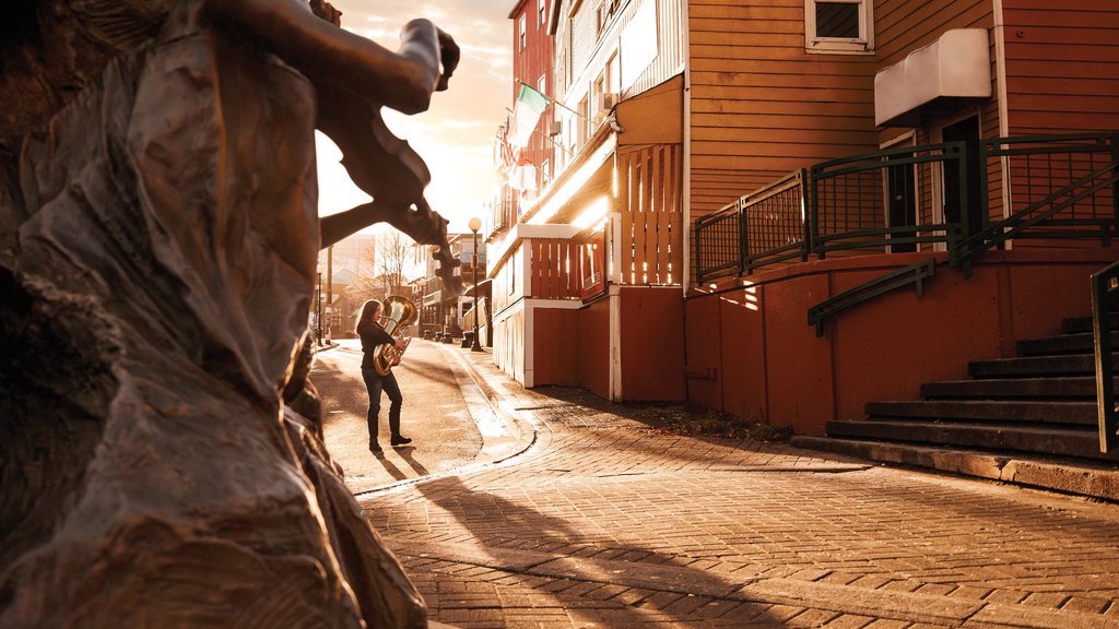 San Juan de Terranova que incluye imágenes de calles y un atardecer y también una mujer