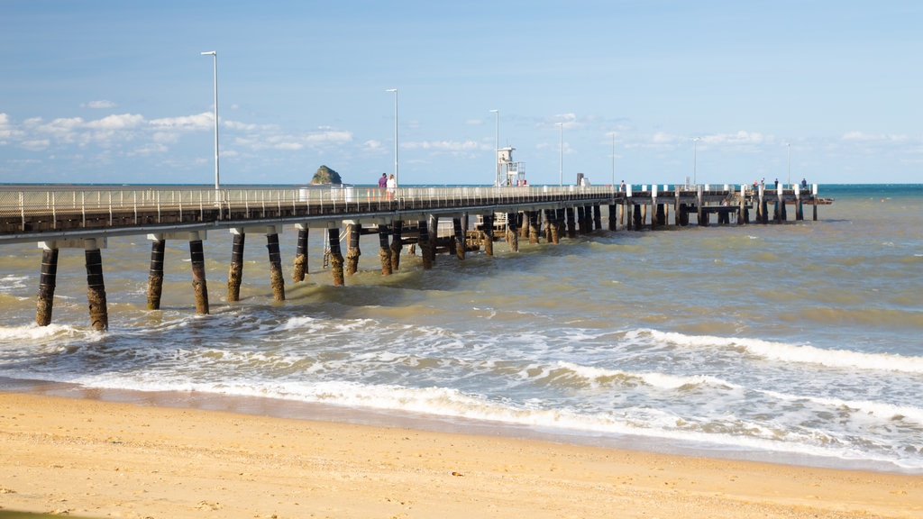 Palm Cove Beach showing general coastal views and a beach