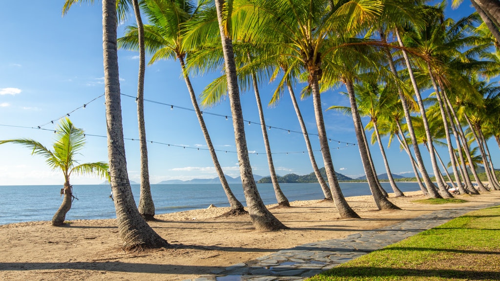 Palm Cove som omfatter tropiske områder, udsigt over kystområde og en sandstrand