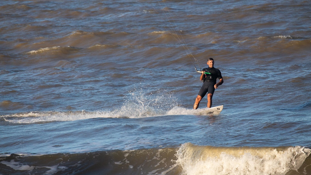 Palm Cove Beach which includes general coastal views and kite surfing as well as an individual male