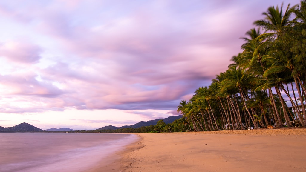 Tropical North Queensland ofreciendo escenas tropicales, una puesta de sol y una playa de arena