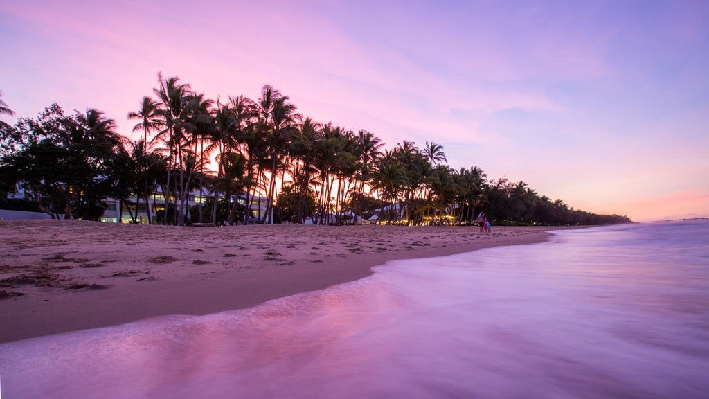 Palm Cove Beach featuring a sunset, tropical scenes and a sandy beach