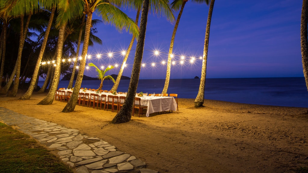 Praia Palm Cove que inclui paisagens litorâneas, cenas noturnas e uma praia