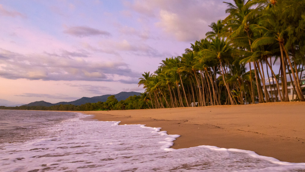 Palm Cove Beach ofreciendo una playa, una puesta de sol y vistas generales de la costa