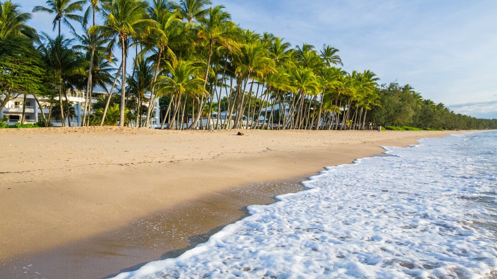 Palm Cove Beach que incluye una playa, escenas tropicales y vistas generales de la costa