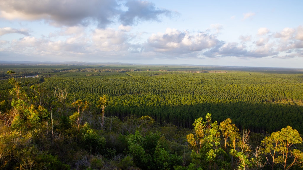 Glasshouse Mountains National Park toont landschappen en vredige uitzichten