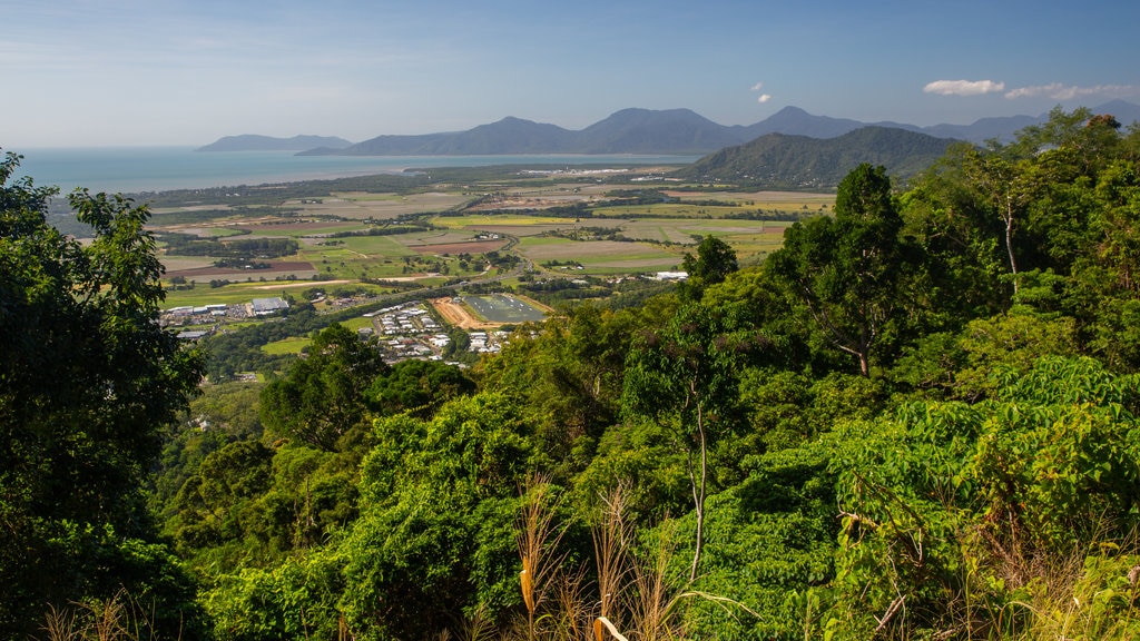 Tropical North Queensland featuring tranquil scenes and landscape views