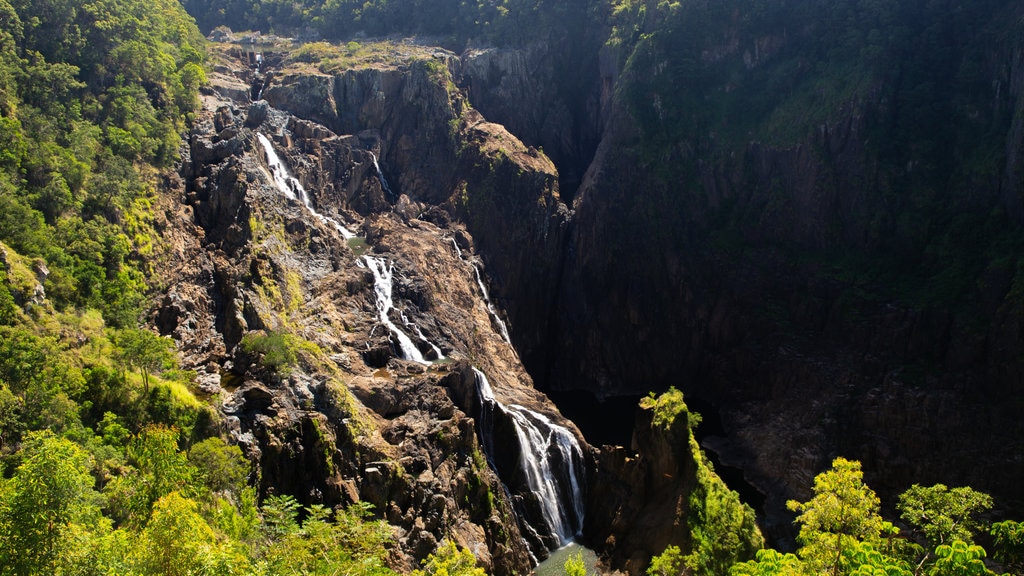 Barron Gorge National Park inclusief een rivier of beek en een cascade