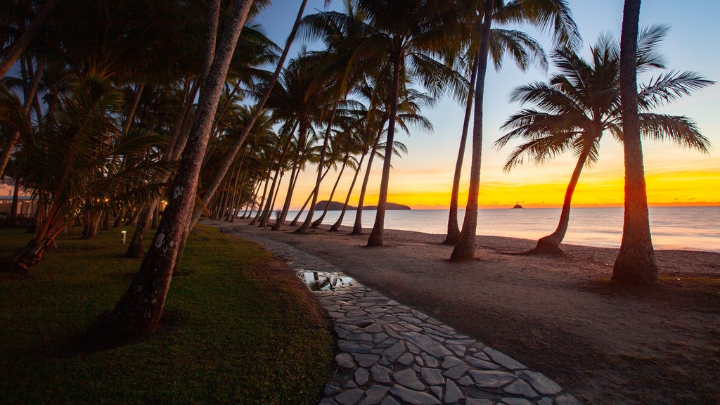 Palm Cove som omfatter tropiske områder, en strand og udsigt over kystområde