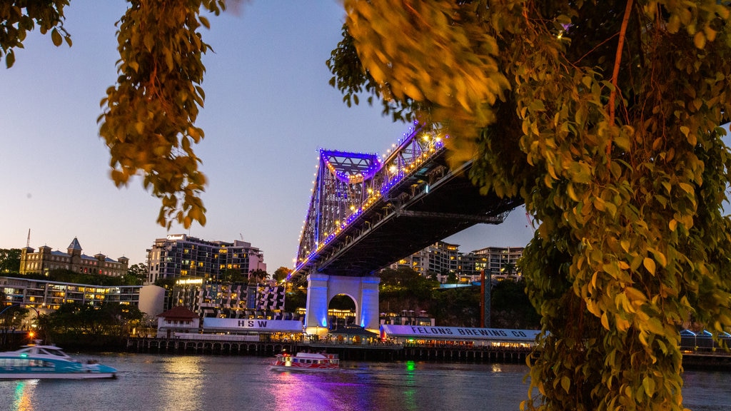 Story Bridge featuring a bridge, a sunset and a city