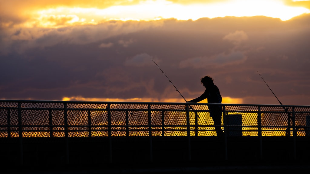 Palm Cove Beach which includes fishing and a sunset as well as an individual male