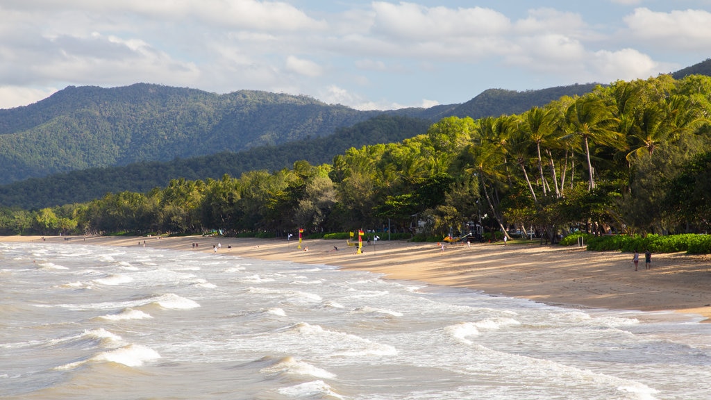 Palm Cove Beach which includes general coastal views and a beach