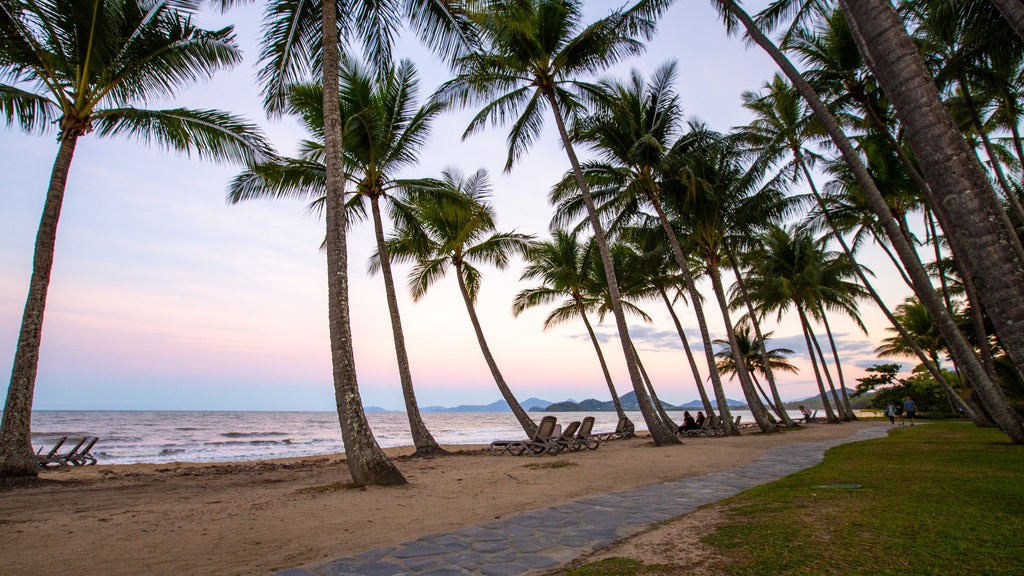 Palm Cove Beach which includes a sandy beach, a sunset and tropical scenes