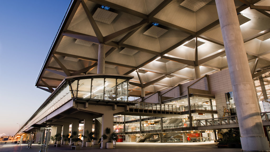 Málaga showing an airport