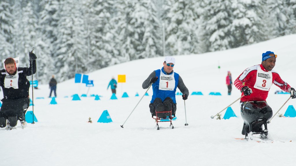 Whistler Olympic Park que inclui neve, um evento desportivo e esqui cross-country