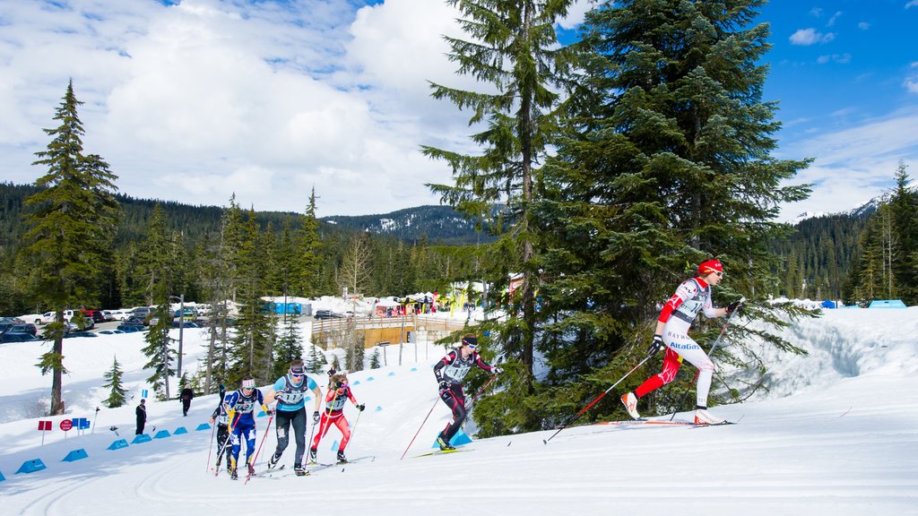 Whistler Olympic Park showing a sporting event, snow and cross country skiing