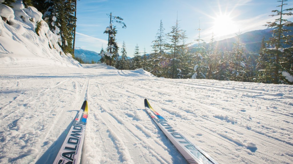 Taman Olimpiade Whistler menampilkan ski salju dan salju