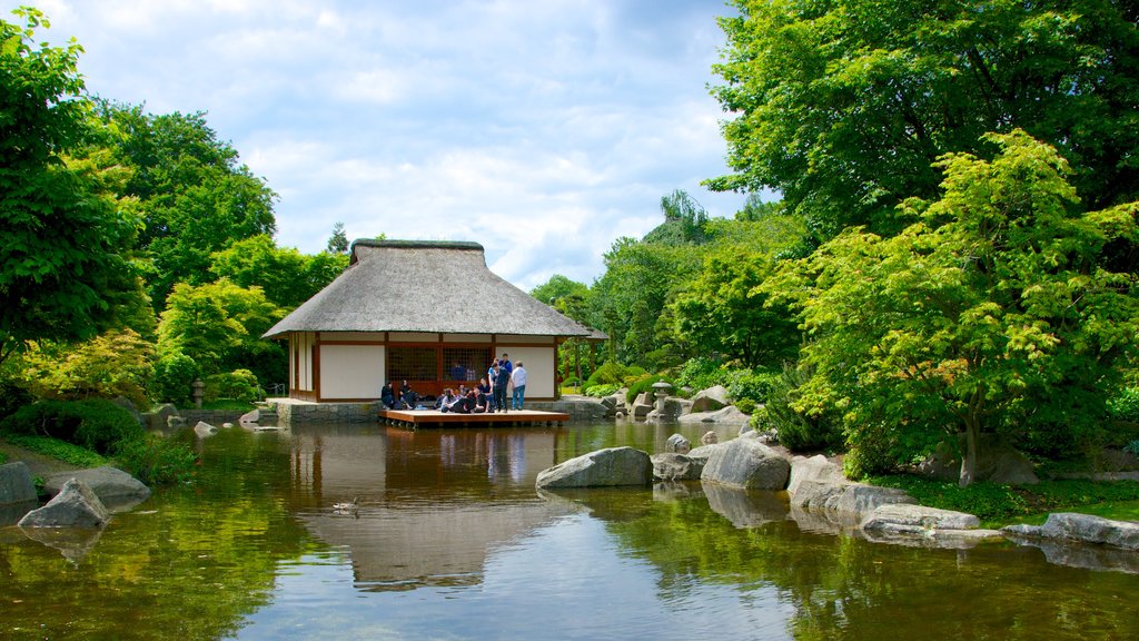 Jardín japonés mostrando jardín y un estanque