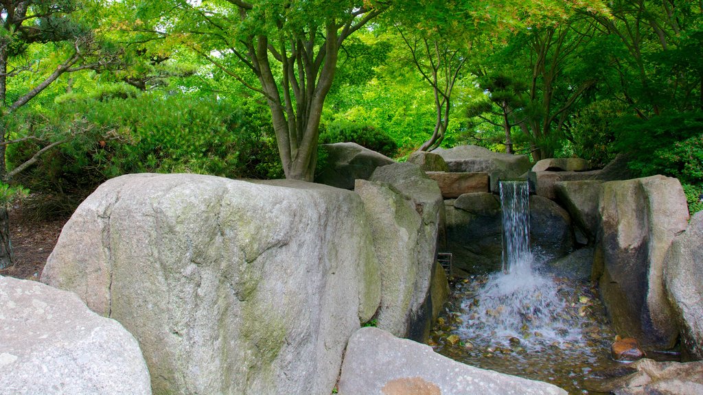 Jardín japonés mostrando una catarata y un parque