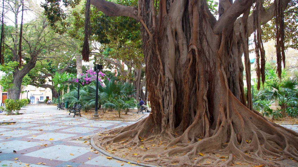 Valencia showing a garden