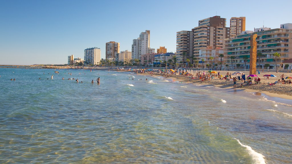 Playa de El Campello mostrando un hotel de lujo o resort, una ciudad costera y natación