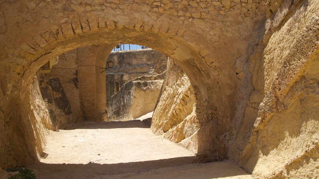 Castillo de Santa Bárbara mostrando una ruina, castillo o palacio y elementos patrimoniales