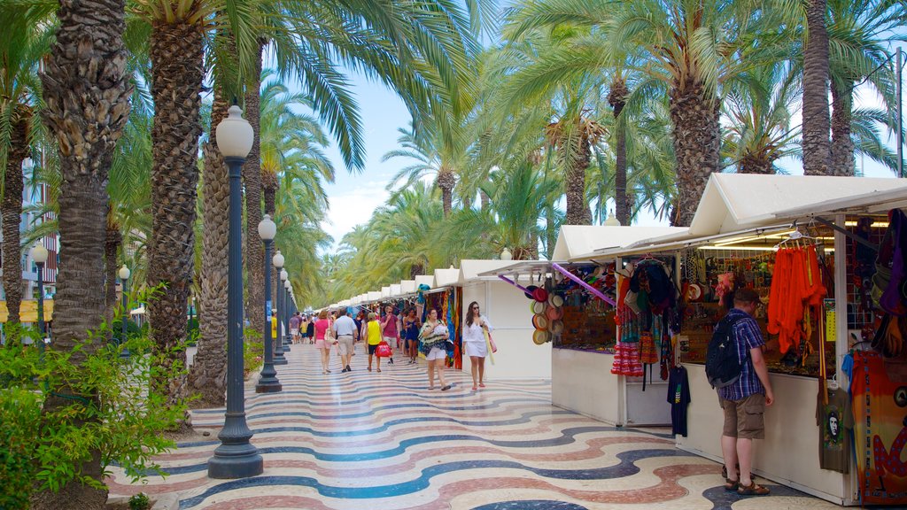 Explanada de Espana showing a coastal town, markets and street scenes