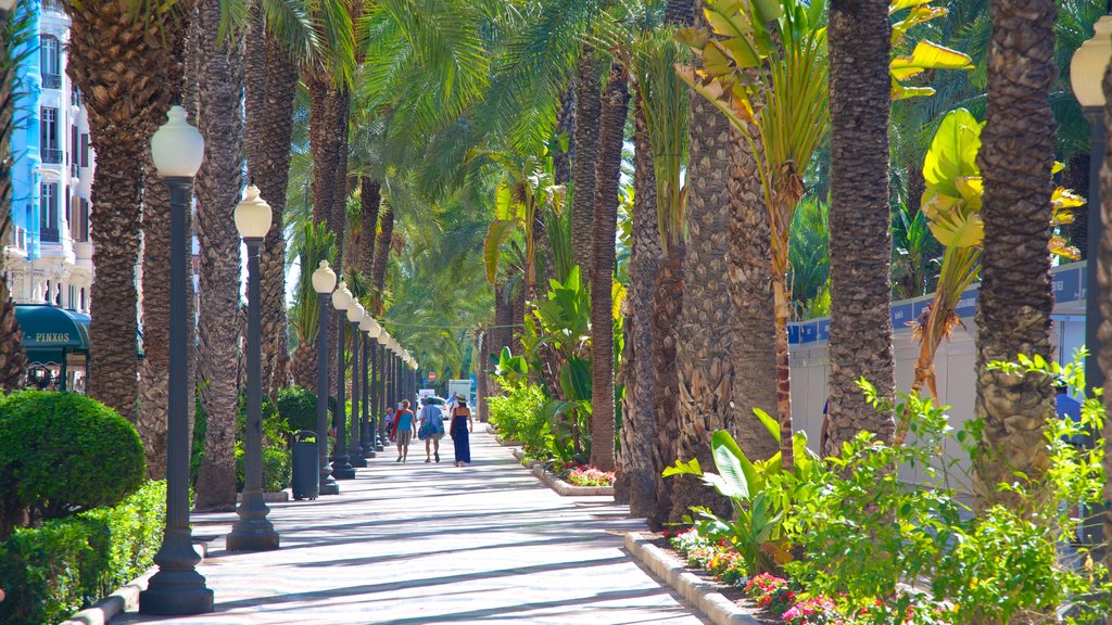 Explanada de Espana showing street scenes and a coastal town