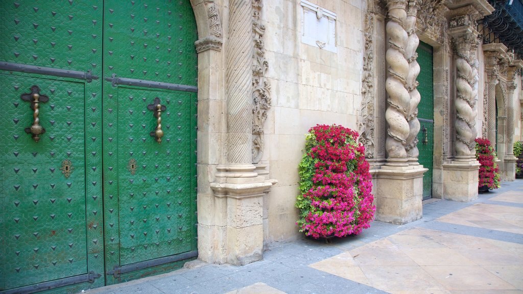 Alicante mostrando flores e arquitetura de patrimônio