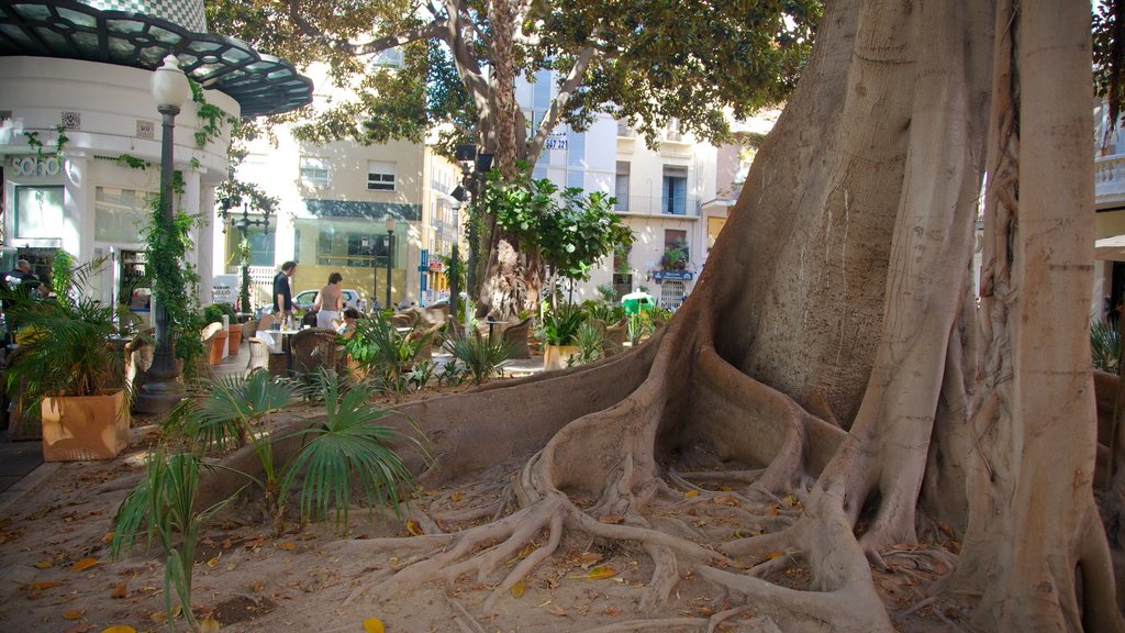 Casco antiguo que incluye un parque