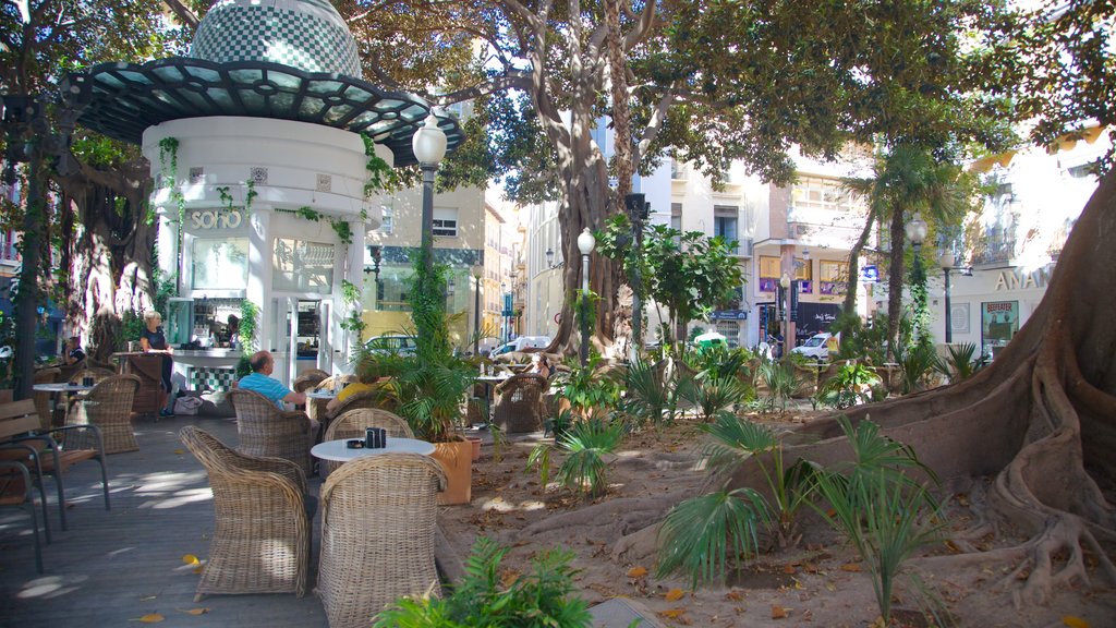 Alicante caracterizando jantar ao ar livre e estilo de vida de cafeteria