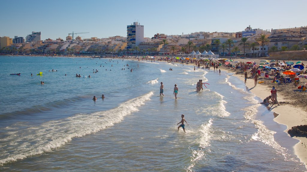 Campello Beach showing a beach, a coastal town and swimming