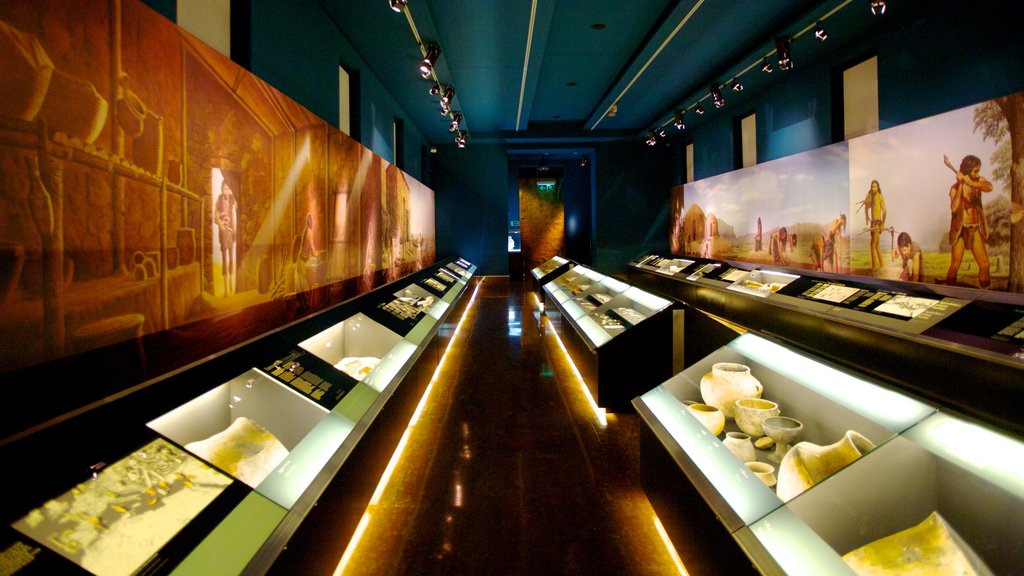 Archaeological Museum of Alicante featuring interior views