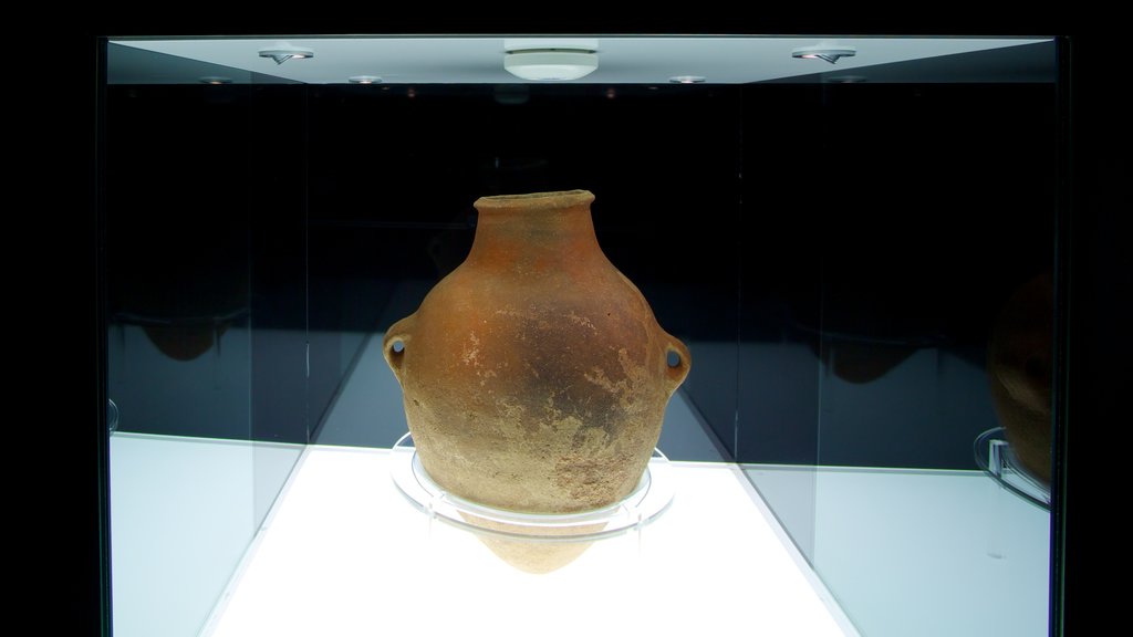 Archaeological Museum of Alicante showing interior views