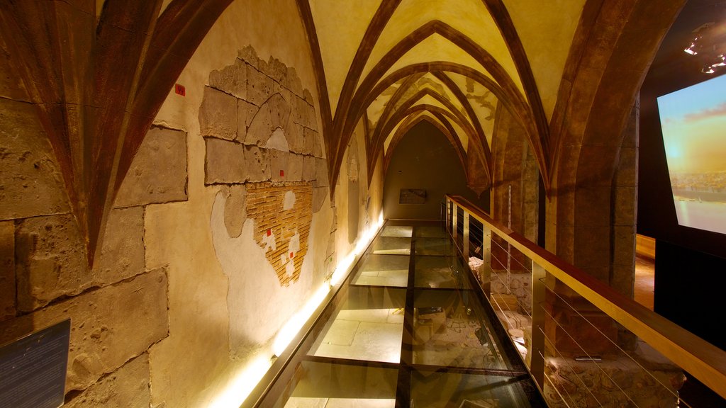 Archaeological Museum of Alicante showing interior views