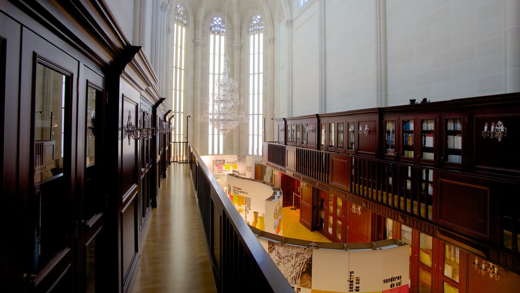 Archaeological Museum of Alicante showing interior views