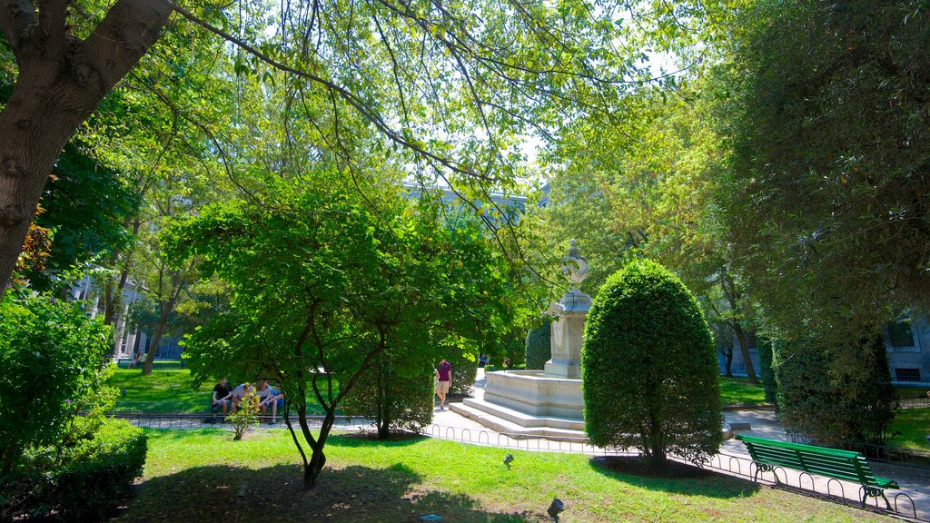 Reina Sofia Museum showing a garden