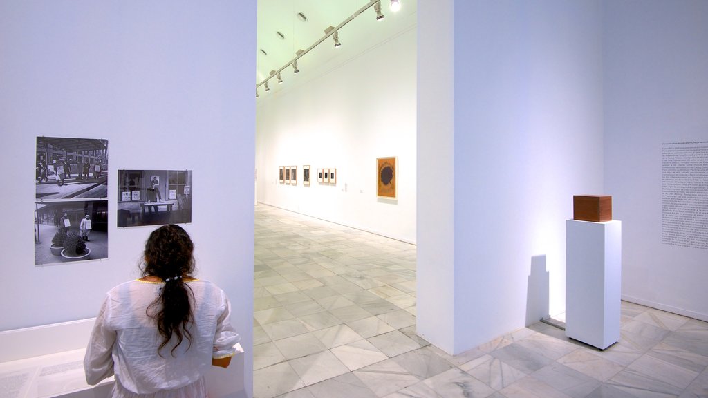 Museo Reina Sofía ofreciendo vistas interiores y también una mujer