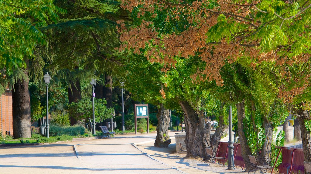 Casa de Campo cho thấy công viên