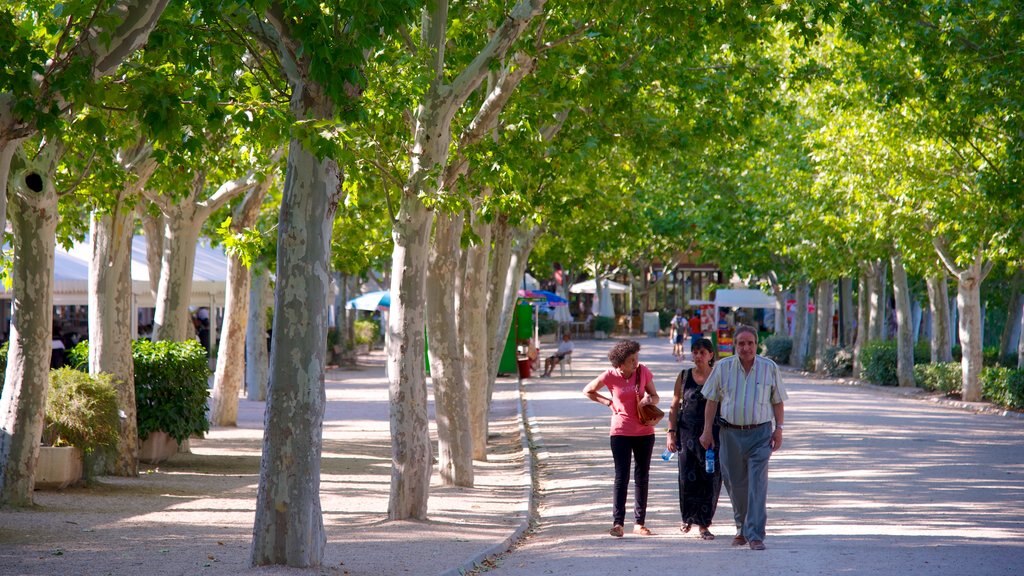 Casa de Campo caracterizando um jardim assim como um pequeno grupo de pessoas