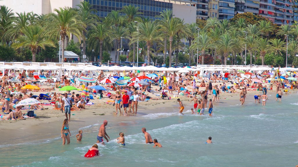 Postiguet Beach which includes tropical scenes, a beach and swimming