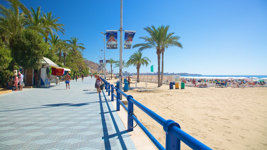 Postiguet Beach showing a beach and tropical scenes