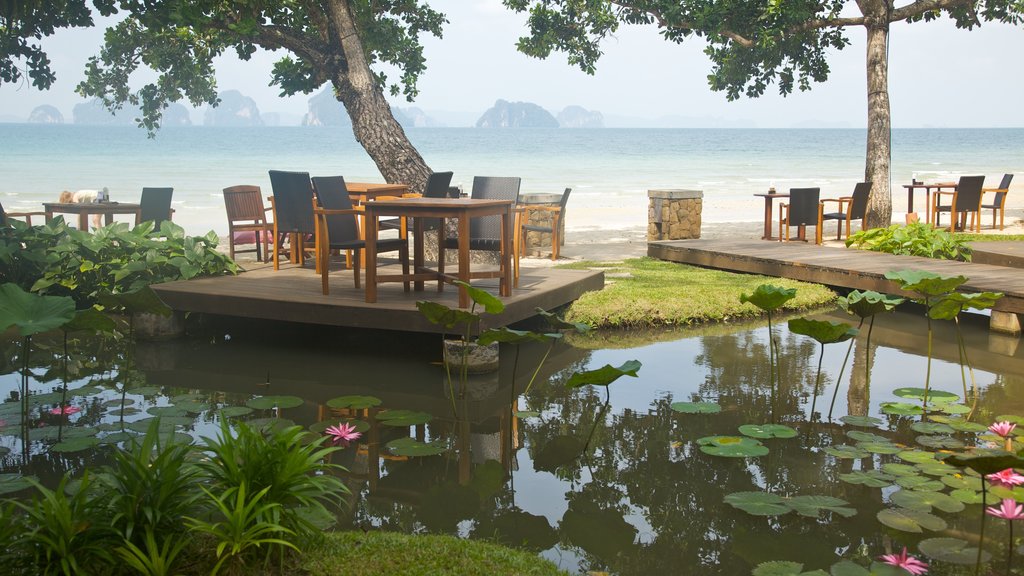 Ao Phra Nang Beach mostrando escenas tropicales, comer al aire libre y un estanque