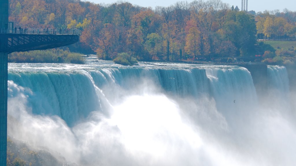 Bridal Veil Falls showing bungee jumping, autumn leaves and a waterfall