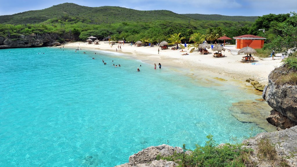 Willemstad que incluye una playa, escenas tropicales y costa rocosa