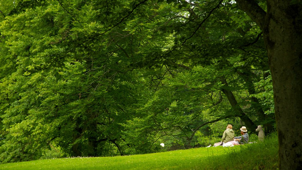 Slottsskogen mostrando um jardim assim como um casal