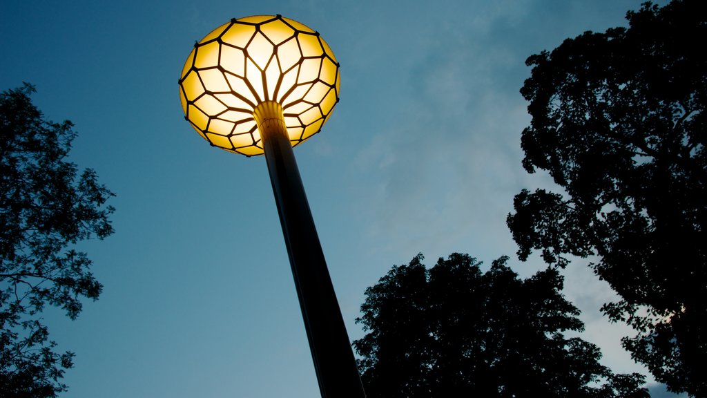 Parque Folkets que incluye jardín y escenas de noche