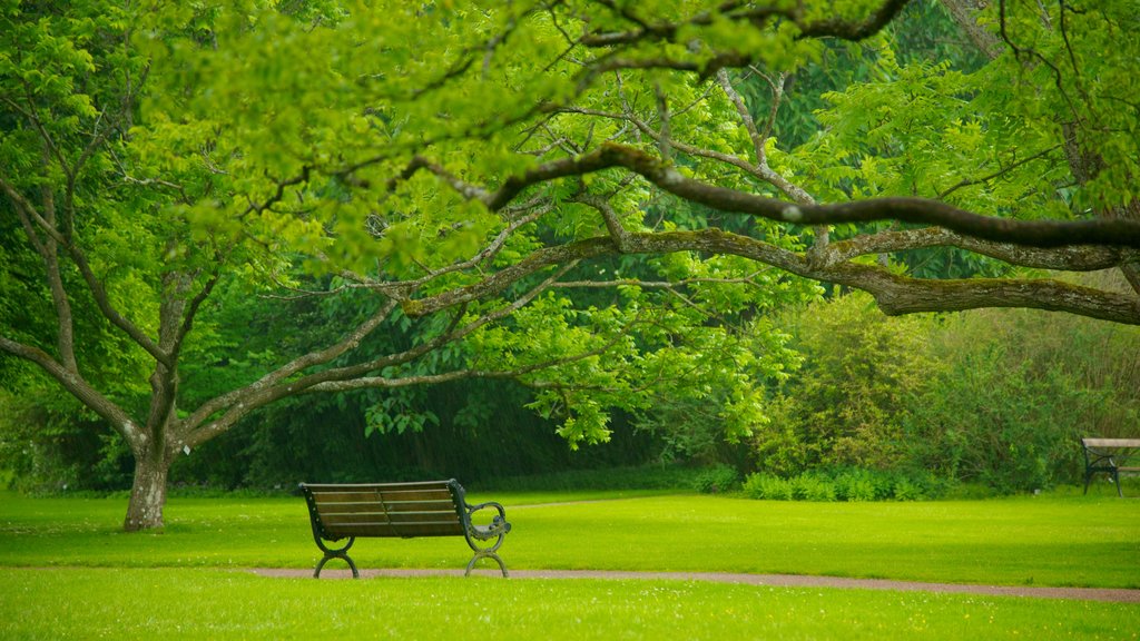 Jard&iacute;n bot&aacute;nico que incluye un parque