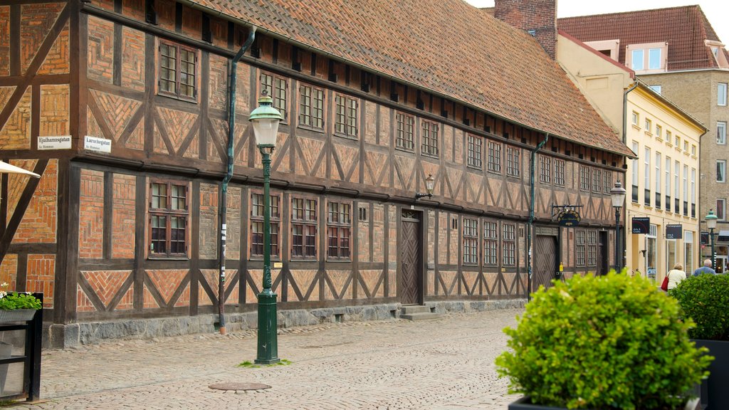 Lilla Torg ofreciendo una ciudad, patrimonio de arquitectura y escenas urbanas