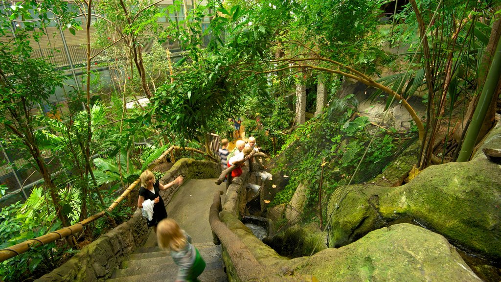 Universeum which includes a garden